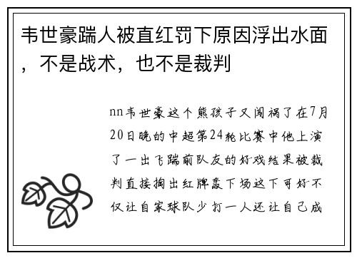 韦世豪踹人被直红罚下原因浮出水面，不是战术，也不是裁判